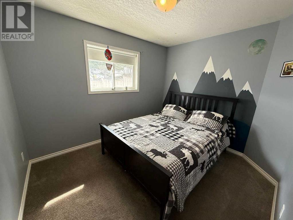 110 Parker Place, Hinton, Alberta  T7V 2C2 - Photo 10 - A2211517