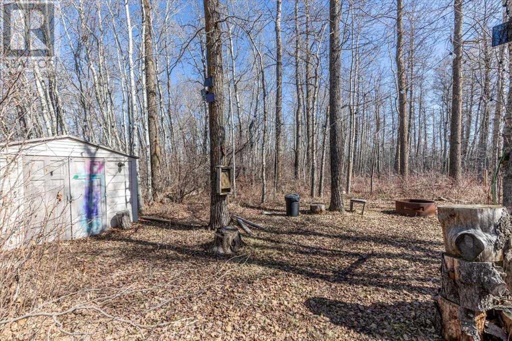 28179 Twp Road 485, Thorsby, Alberta  T0C 2P0 - Photo 39 - A2202170