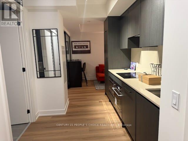 201 - 5 Lakeview Avenue, Toronto, Ontario  M6J 0H3 - Photo 4 - C12157487