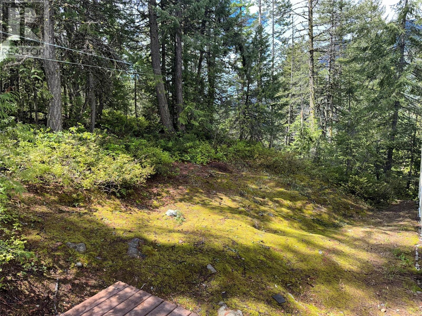 891 Monte Vista Drive Unit# 38, Rossland, British Columbia  V0G 1Y0 - Photo 23 - 10348609