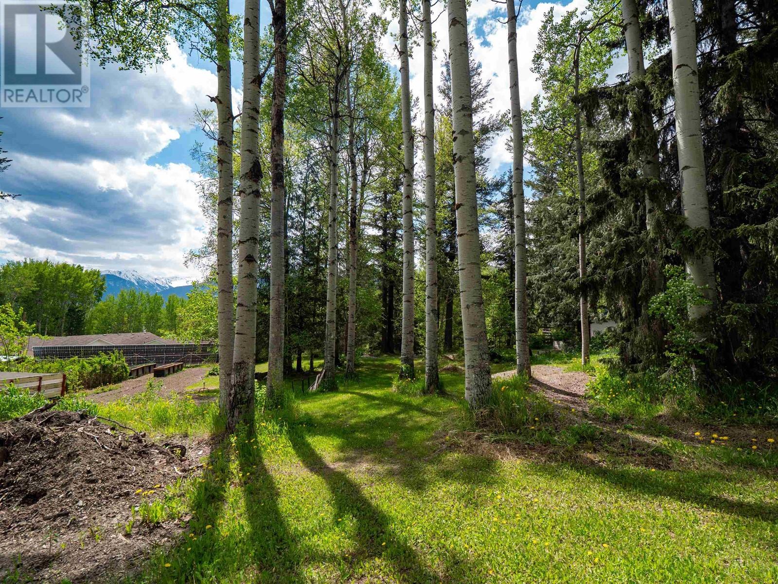 400 Mountain View Road, Mcbride, British Columbia  V0J 2E0 - Photo 40 - R2956790