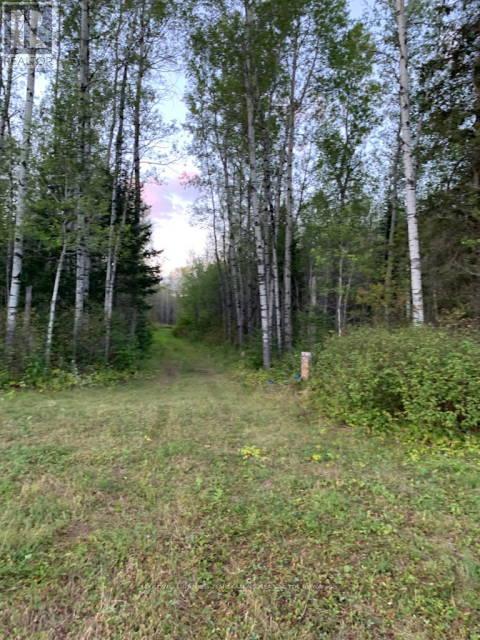 284124 Elliott Road, Timiskaming, Ontario  P0J 1L0 - Photo 27 - T12172270