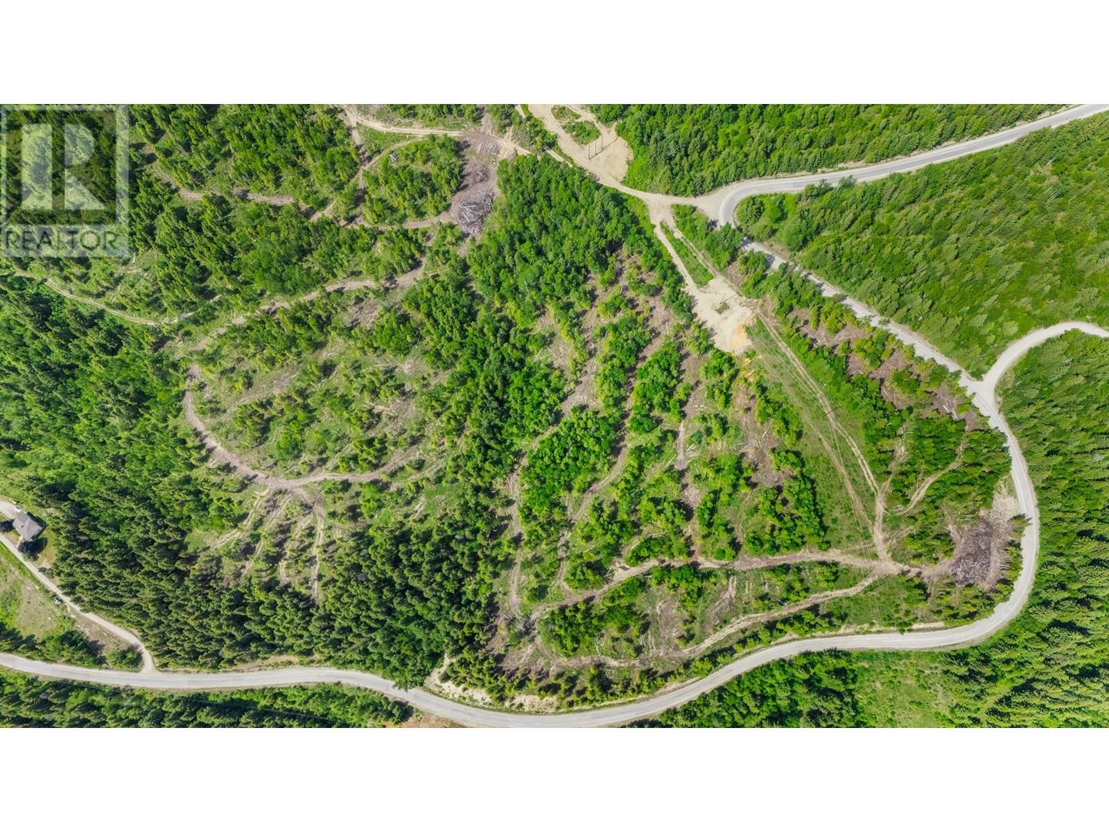 Lot 2 Candle Creek Road, Clearwater, British Columbia  V0E 1N1 - Photo 11 - 10347263