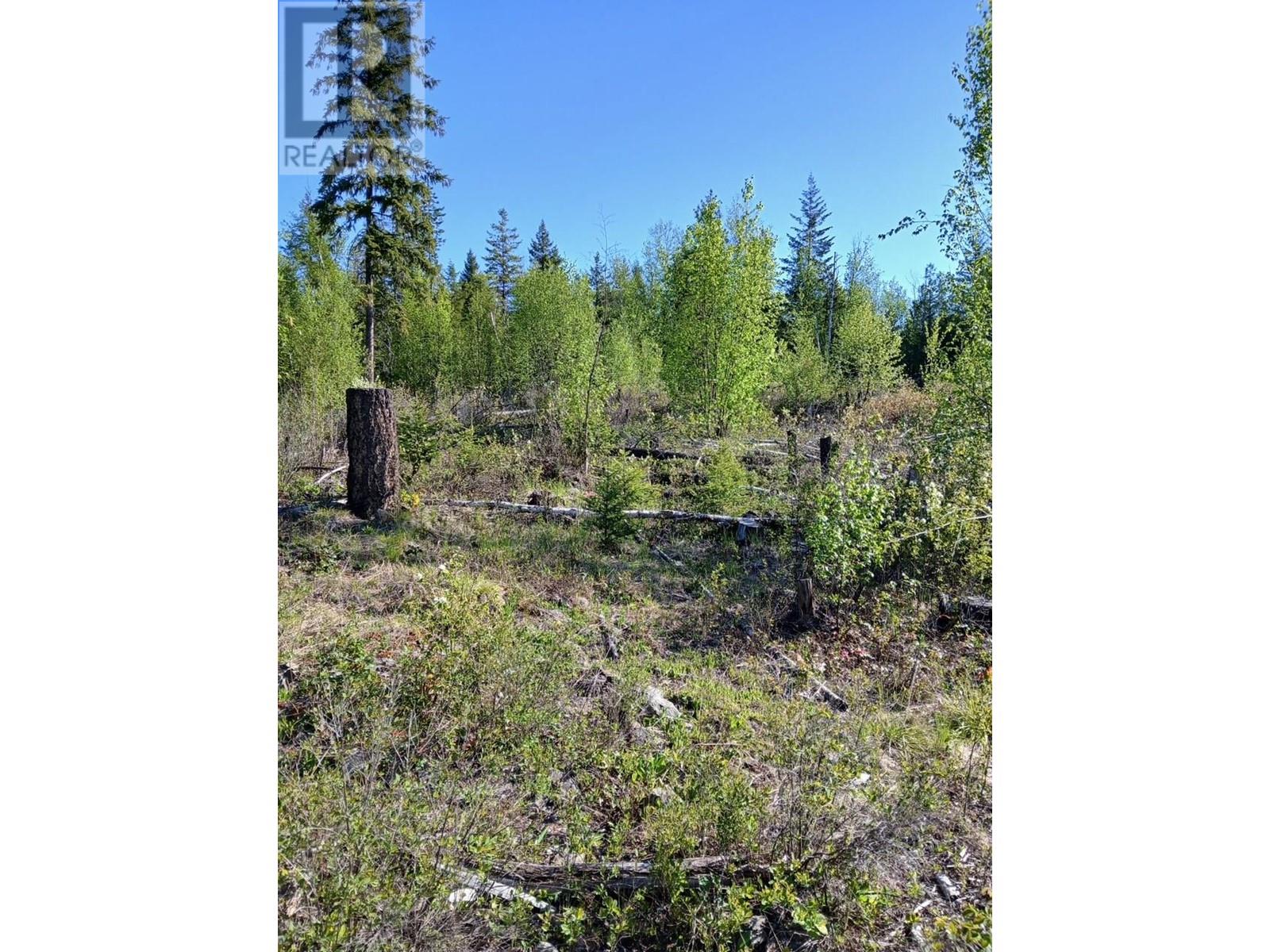 Lot 2 Candle Creek Road, Clearwater, BC V0E1N1