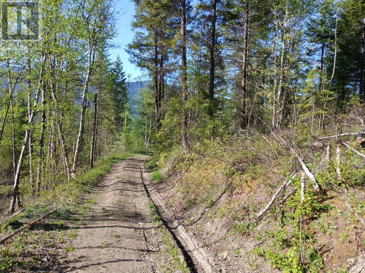 Lot 2 Candle Creek Road, Clearwater, BC V0E1N1