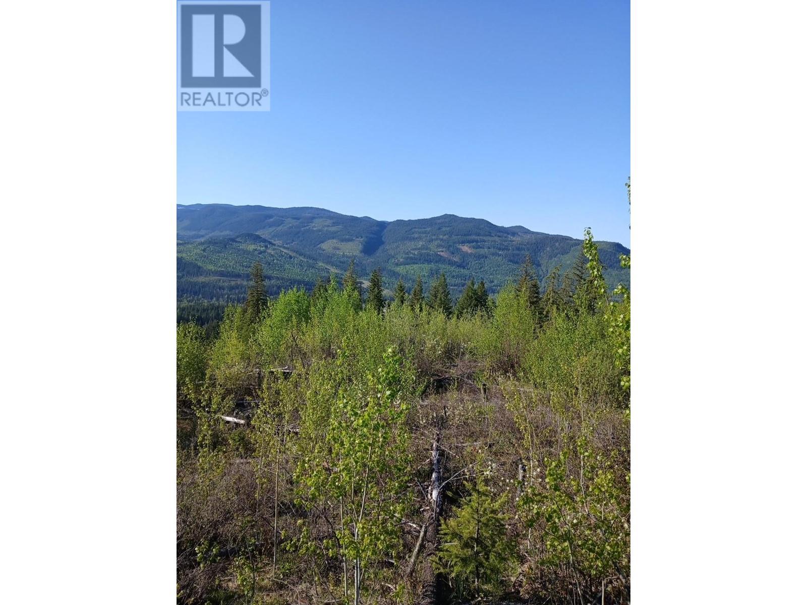 Lot 2 Candle Creek Road, Clearwater, BC V0E1N1