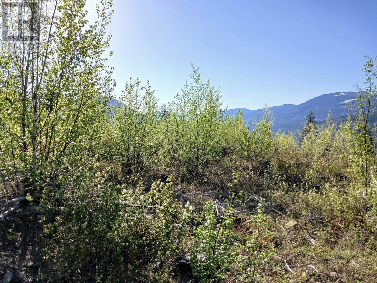 Lot 2 Candle Creek Road, Clearwater, BC V0E1N1