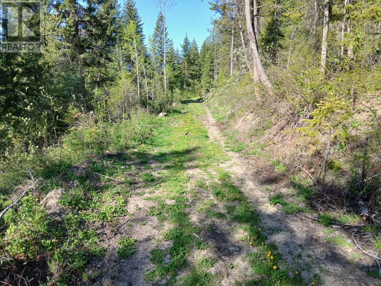 Lot 2 Candle Creek Road, Clearwater, British Columbia  V0E 1N1 - Photo 55 - 10347263