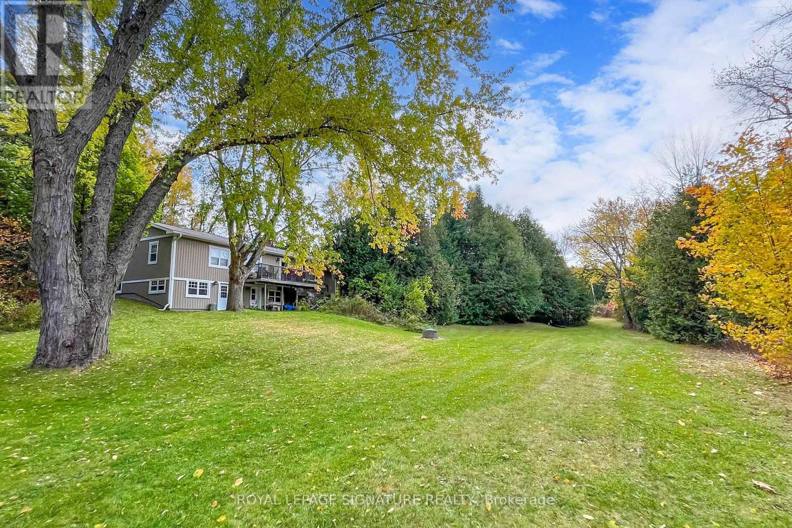 Property at 120 HWY 7A image 3