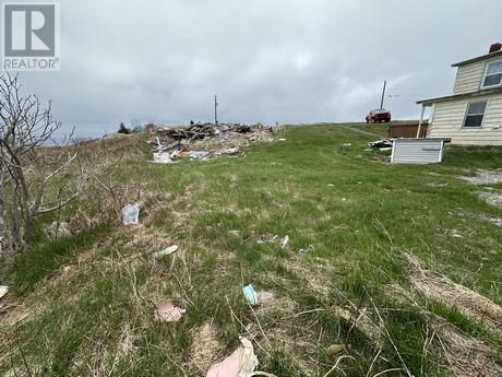 3 Amys Hole Road, Jobs Cove, Newfoundland & Labrador  A0A 2S0 - Photo 8 - 1285421