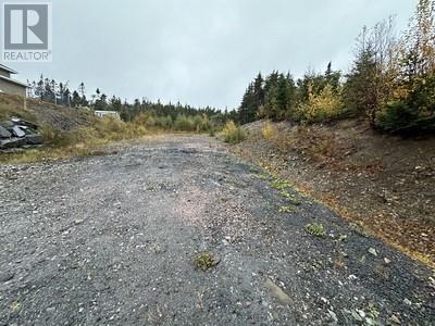 15 North Ridge Sub-Division, Blaketown, Newfoundland & Labrador  A0B 1C0 - Photo 9 - 1285419