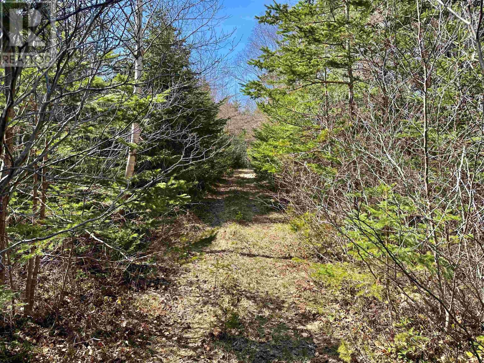 235 Small Gains Road, Arcadia, Nova Scotia  B5A 5J1 - Photo 42 - 202508750