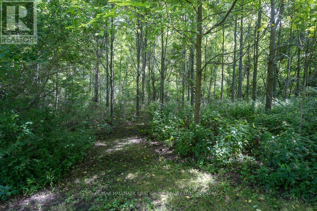 1331 Victoria Road, Prince Edward County, Ontario  K0K 1A0 - Photo 16 - X12172449
