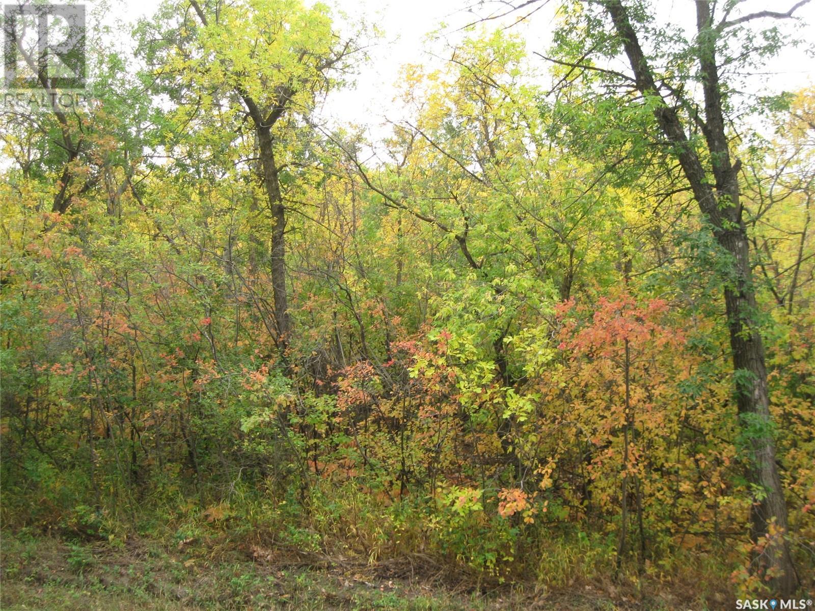 Property at 9 and 11 Qu'Appelle Park image 3