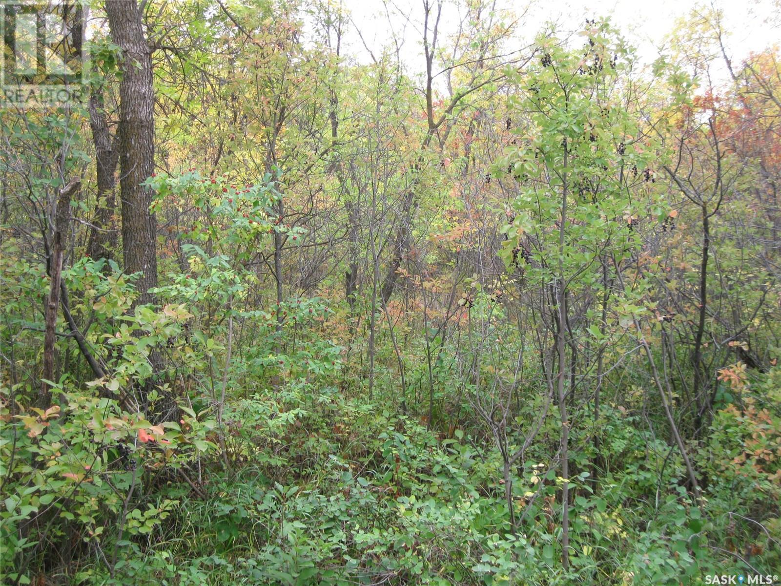 Property at 9 and 11 Qu'Appelle Park image 5