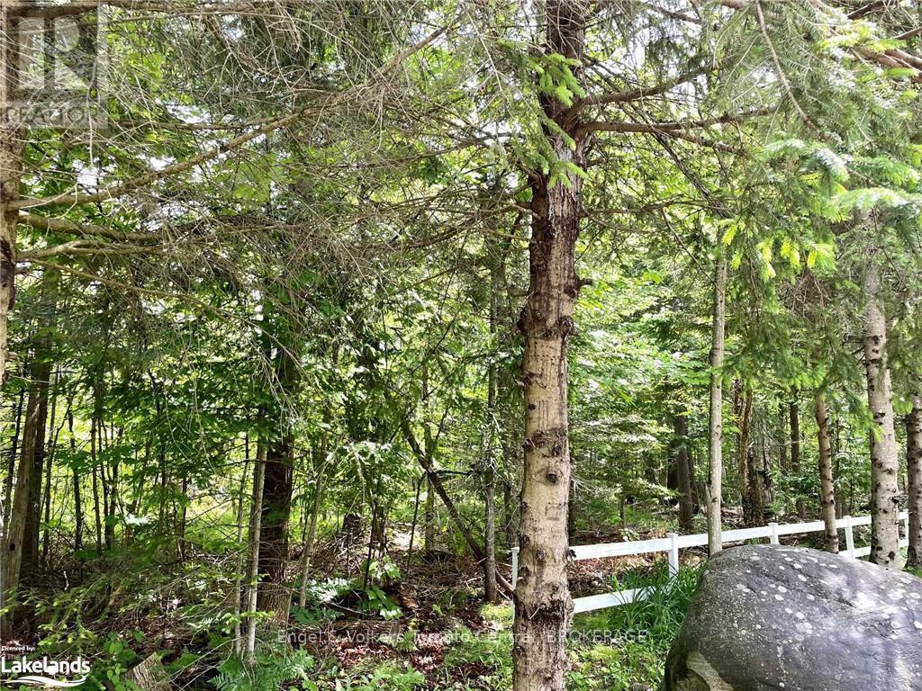 Lot 454 Seguin Crescent, Tiny, Ontario  L9M 0C9 - Photo 2 - S10437560