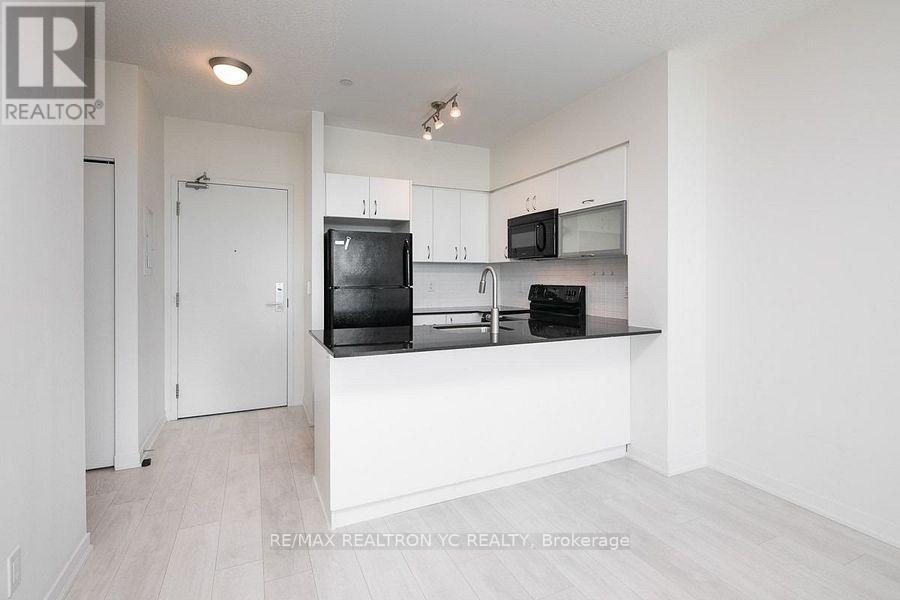 3102 - 150 East Liberty Street, Toronto (Niagara), Ontario  M6K 3R5 - Photo 3 - C12172492