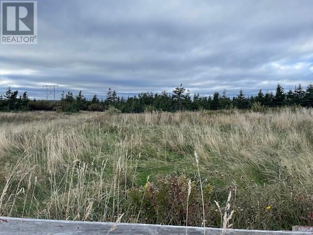 Lot 1 McIsaac's Lane, Port Au Port East, Newfoundland & Labrador