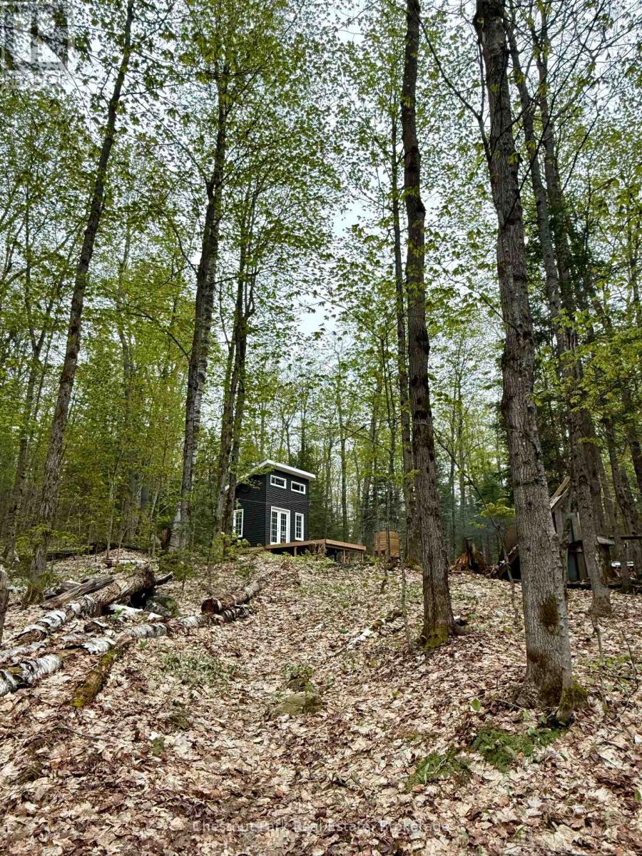 0 King Lake, Machar, Ontario  P0A 1X0 - Photo 21 - X12172543