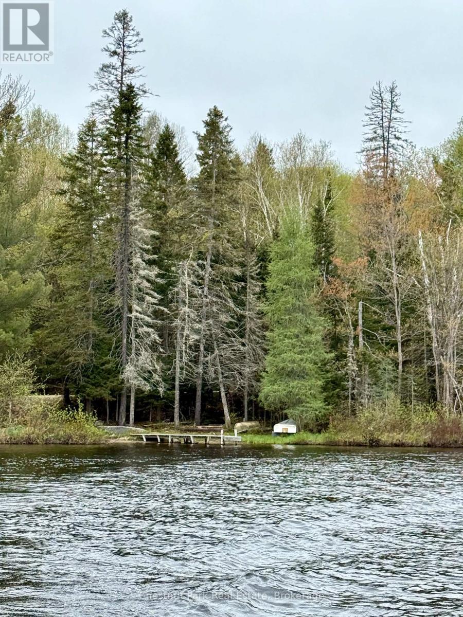 0 King Lake, Machar, Ontario  P0A 1X0 - Photo 44 - X12172543