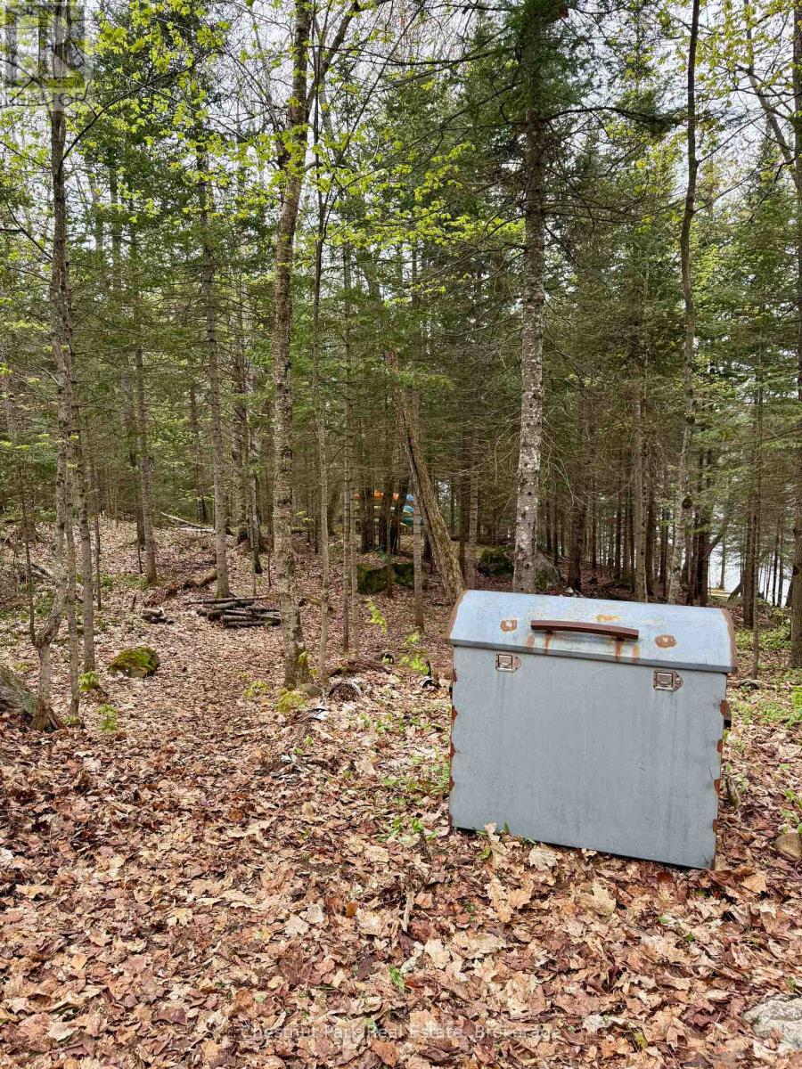 0 King Lake, Machar, Ontario  P0A 1X0 - Photo 49 - X12172543
