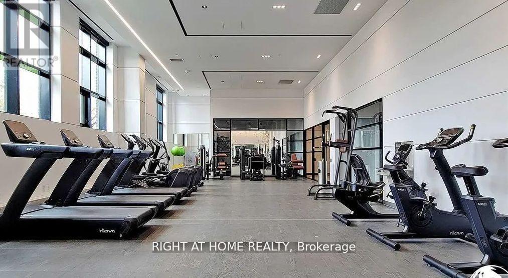 509 - 60 George Butchart Drive, Toronto, Ontario  M3K 0E1 - Photo 19 - W12000337