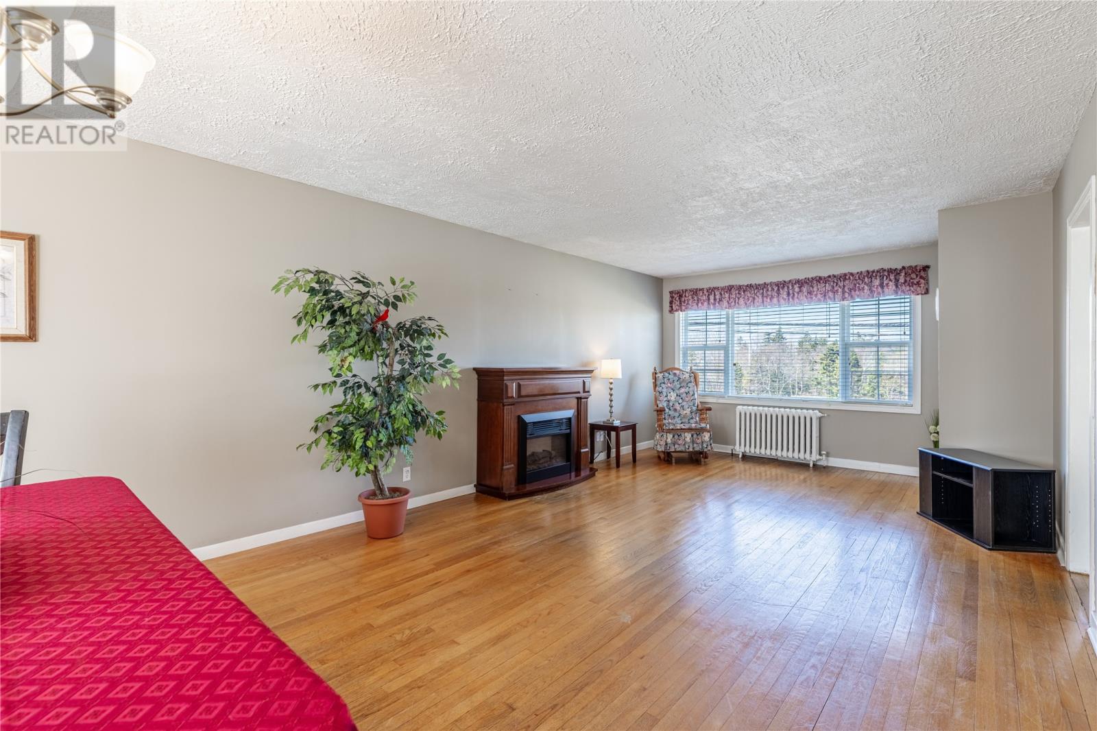Property at 19 Airport Heights Drive image 3