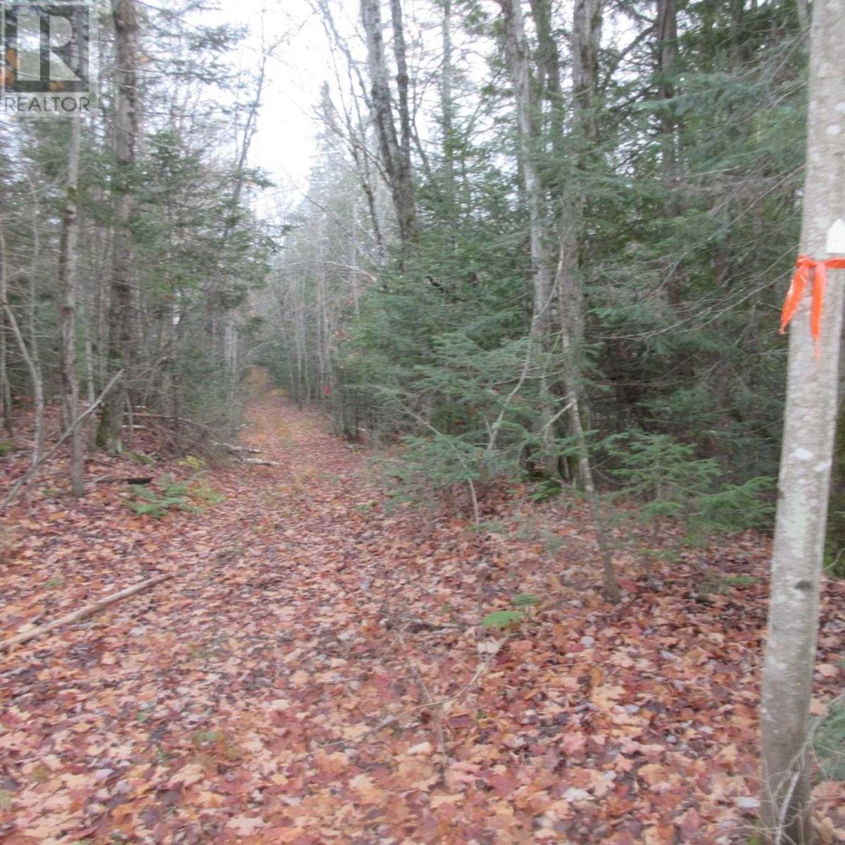 1513 Maki Rd, Sault Ste. Marie, Ontario  P6A 6K4 - Photo 10 - SM242804