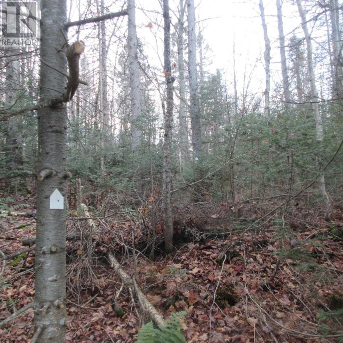 1513 Maki Rd, Sault Ste. Marie, Ontario  P6A 6K4 - Photo 18 - SM242804