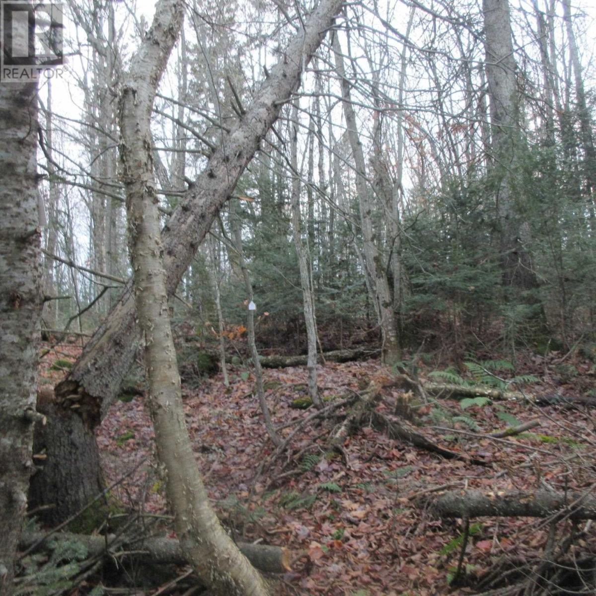 1513 Maki Rd, Sault Ste. Marie, Ontario  P6A 6K4 - Photo 19 - SM242804