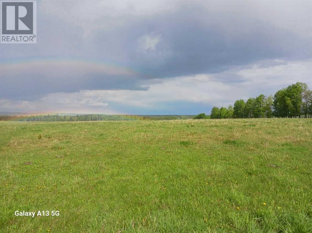 Ne Quarter  17- 38- 8- W5, Rural Clearwater County, Alberta  T4T 2A2 - Photo 32 - A2224356