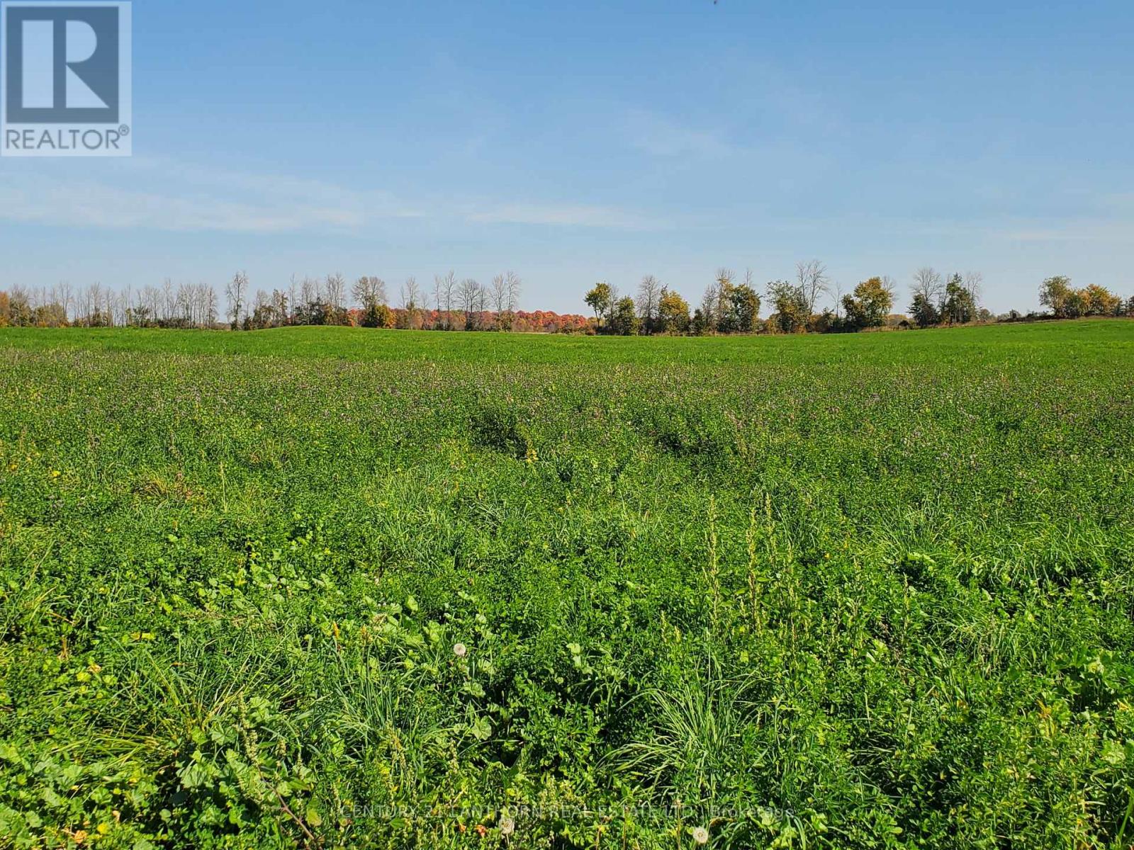 173 (B) Card Road, Stone Mills, Ontario  K0K 3N0 - Photo 21 - X12172682