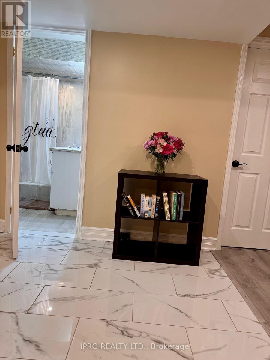 Basement Only - 41 Arctic Wolf Road, Brampton, Ontario  L6R 3L3 - Photo 2 - W12172841
