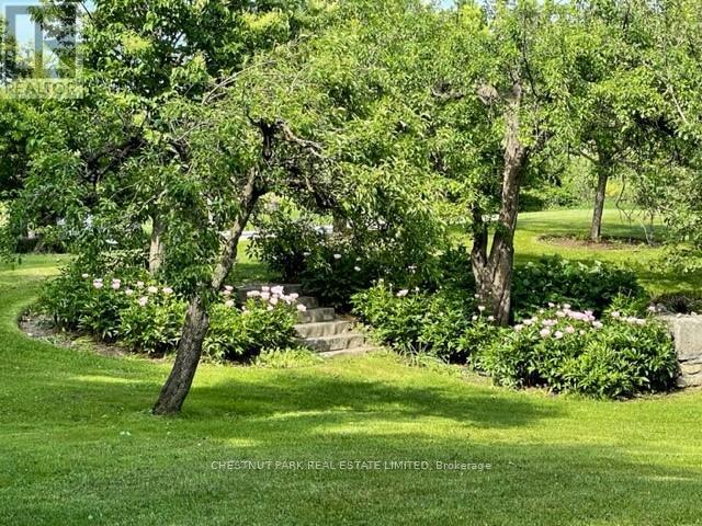 16261 Shaws Creek Road, Caledon, Ontario  L7C 1V9 - Photo 29 - W12162118