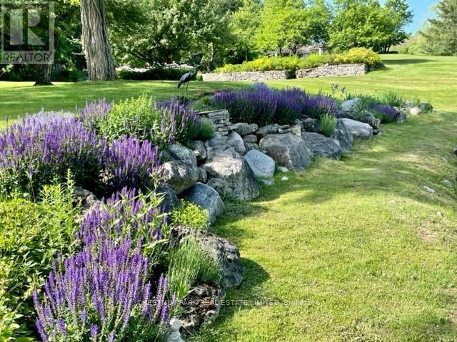 16261 Shaws Creek Road, Caledon, Ontario  L7C 1V9 - Photo 36 - W12162118