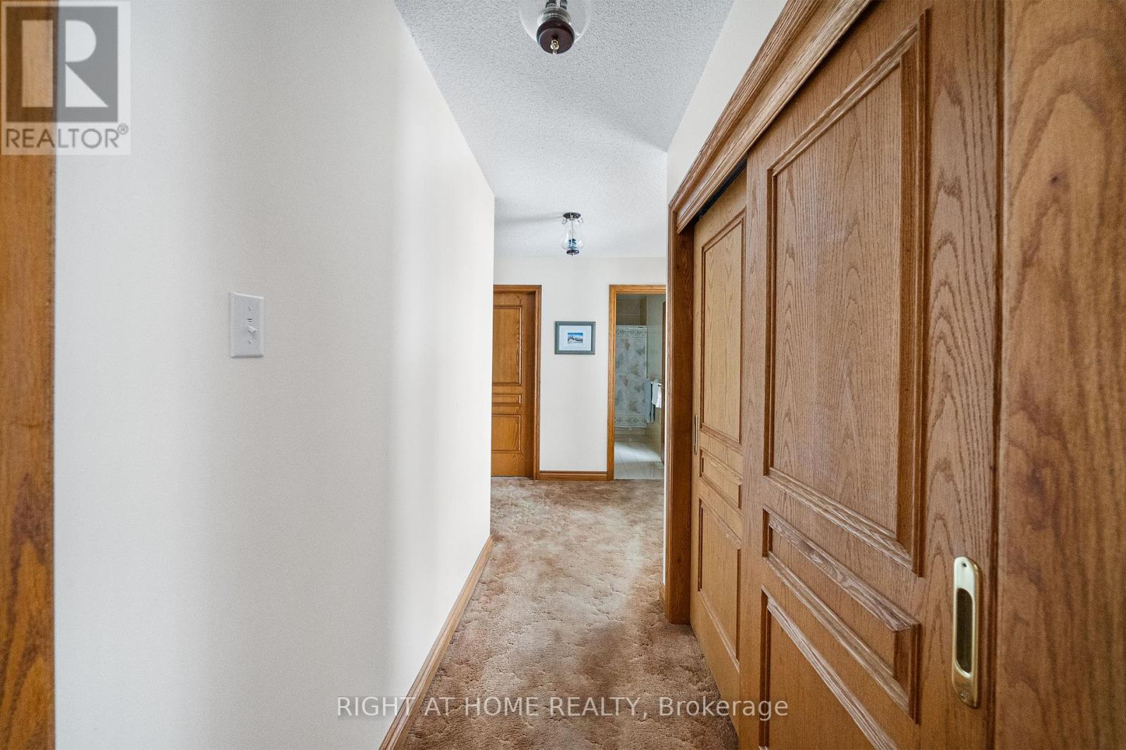 9132 Ninth Line, Halton Hills, Ontario  L0P 1K0 - Photo 19 - W12024771
