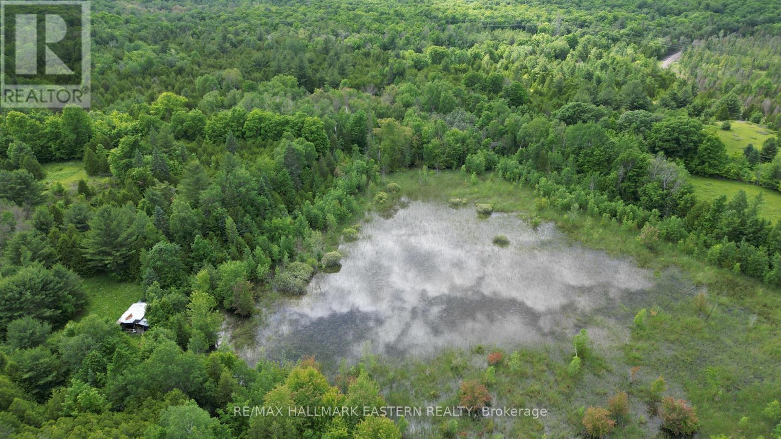 4291 County Road 44, Havelock-Belmont-Methuen, Ontario K0L 1Z0 - Photo 8 - X12173097