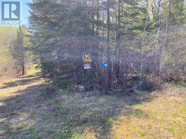 115 Rintala Loop Rd, Lybster, Ontario  P0T 2Y0 - Photo 9 - TB251337
