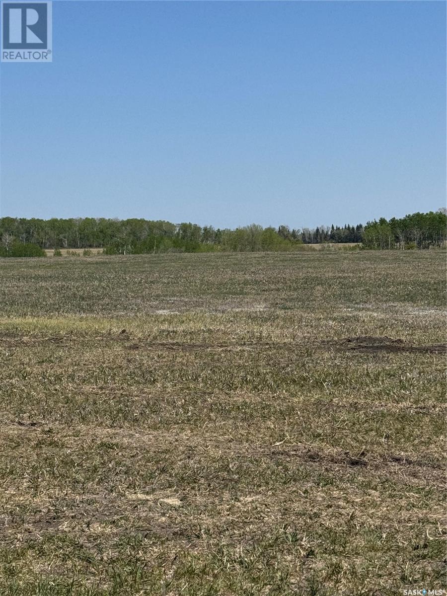 14.37 Acres West/north Preeceville, Preeceville Rm No. 334, Saskatchewan  S0A 3B0 - Photo 17 - SK007100