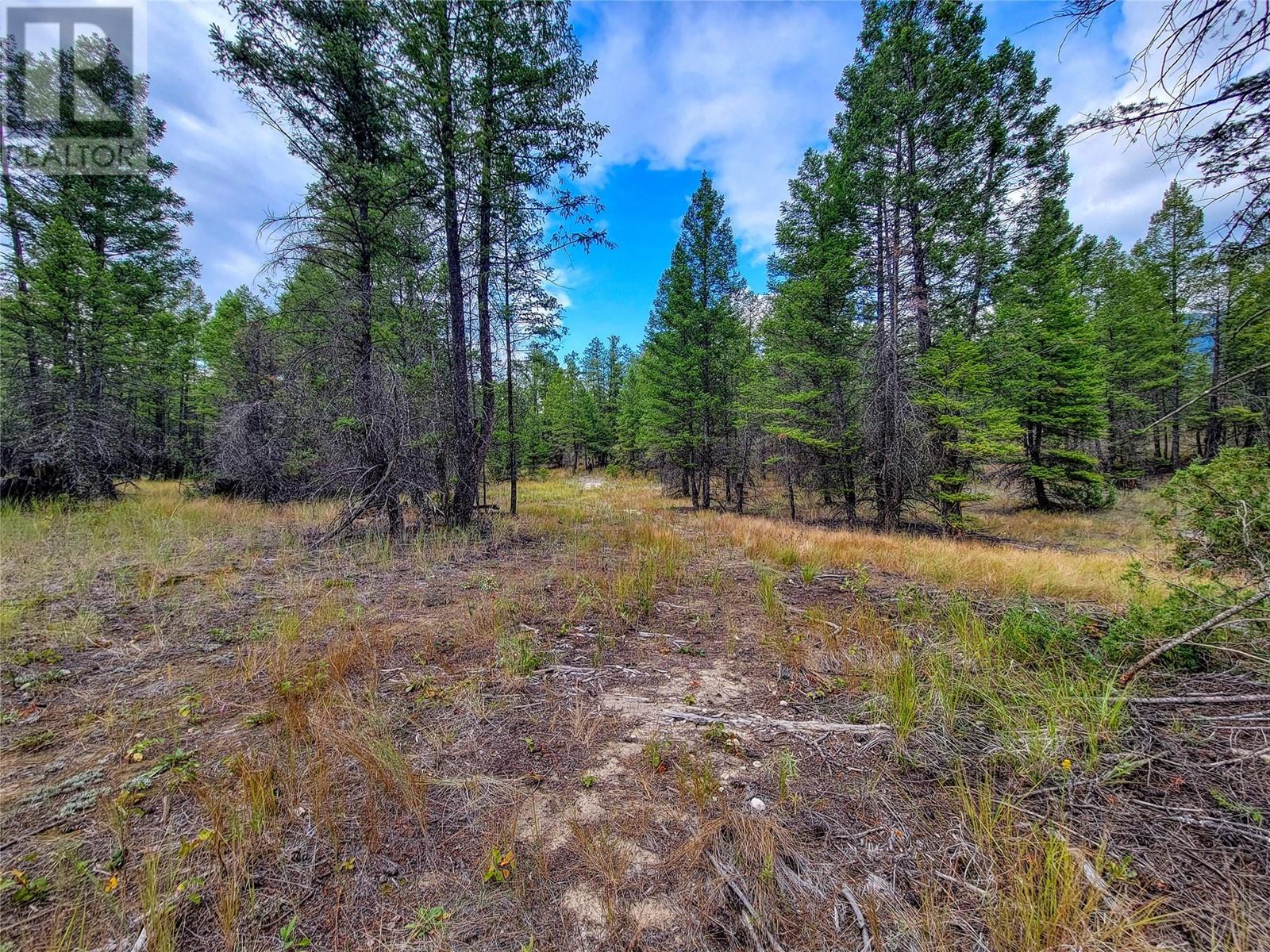 Lot 29 Elkhorn Boulevard, Windermere, British Columbia  V0B 2L2 - Photo 10 - 10349234