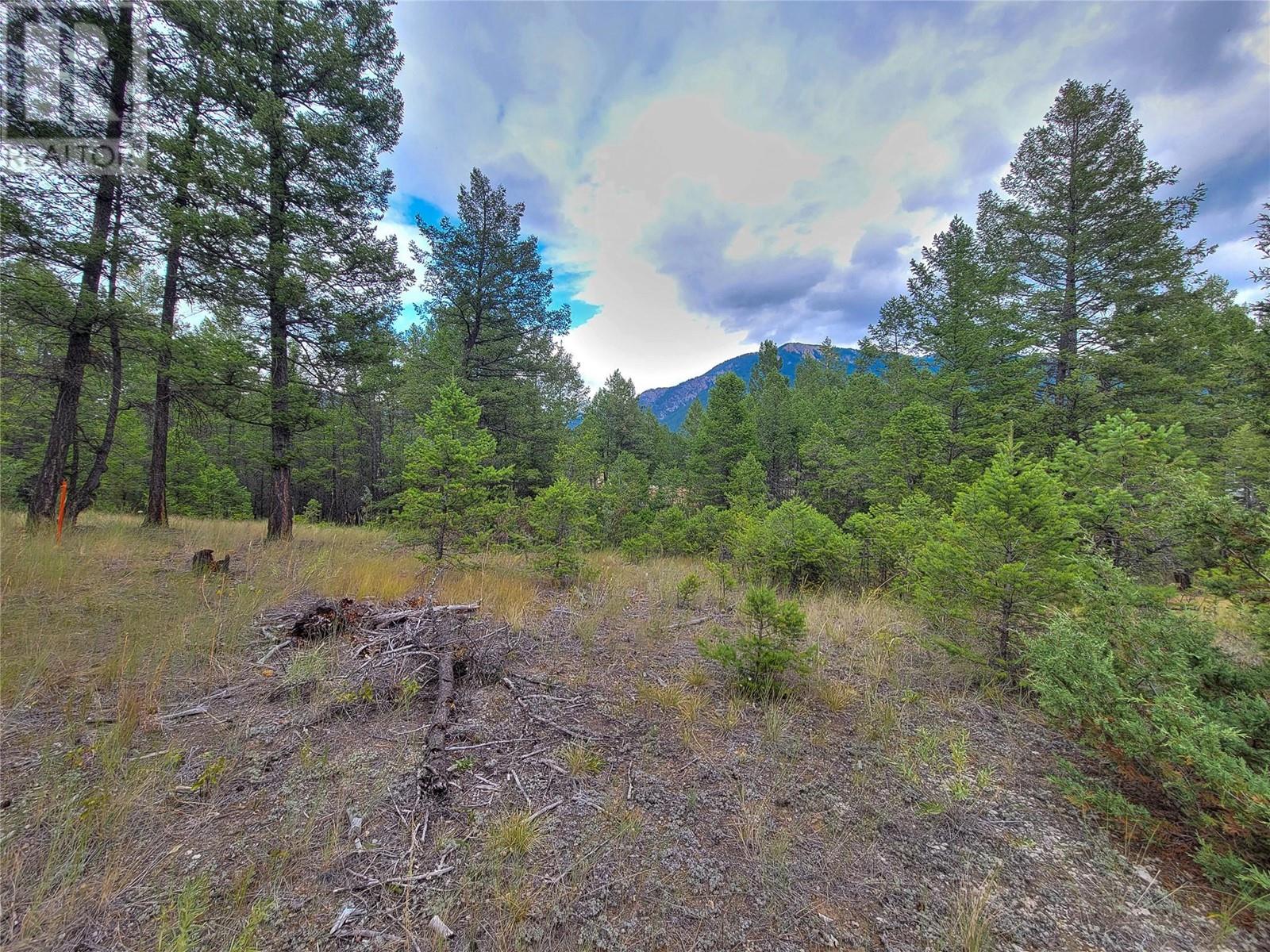 Lot 29 Elkhorn Boulevard, Windermere, British Columbia  V0B 2L2 - Photo 11 - 10349234