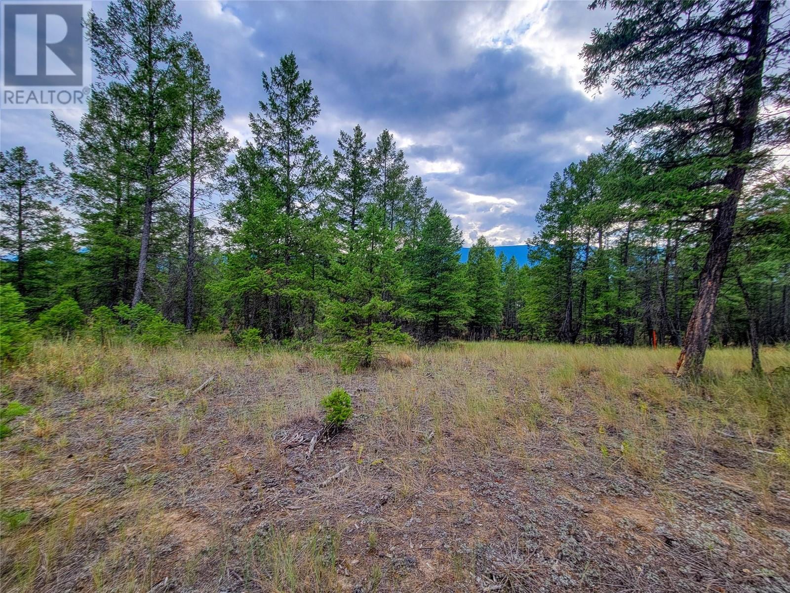 Lot 29 Elkhorn Boulevard, Windermere, British Columbia  V0B 2L2 - Photo 12 - 10349234