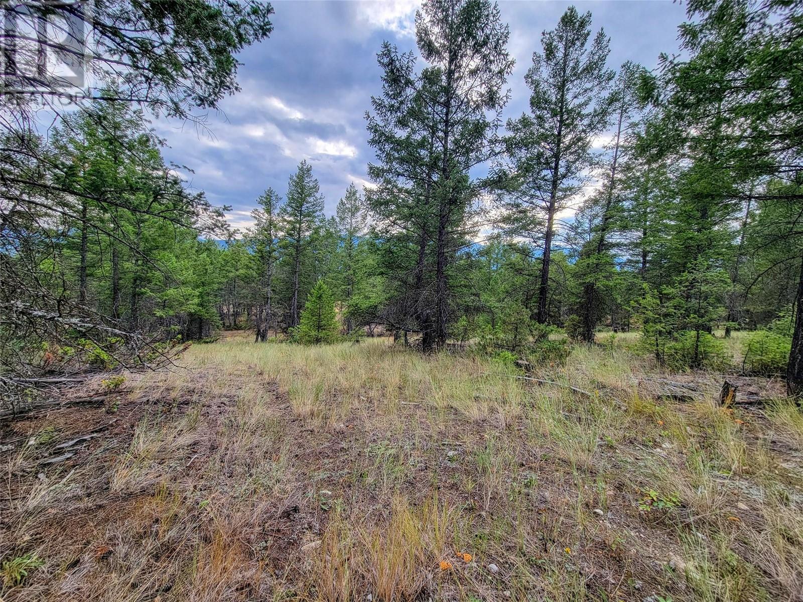 Lot 29 Elkhorn Boulevard, Windermere, British Columbia  V0B 2L2 - Photo 13 - 10349234