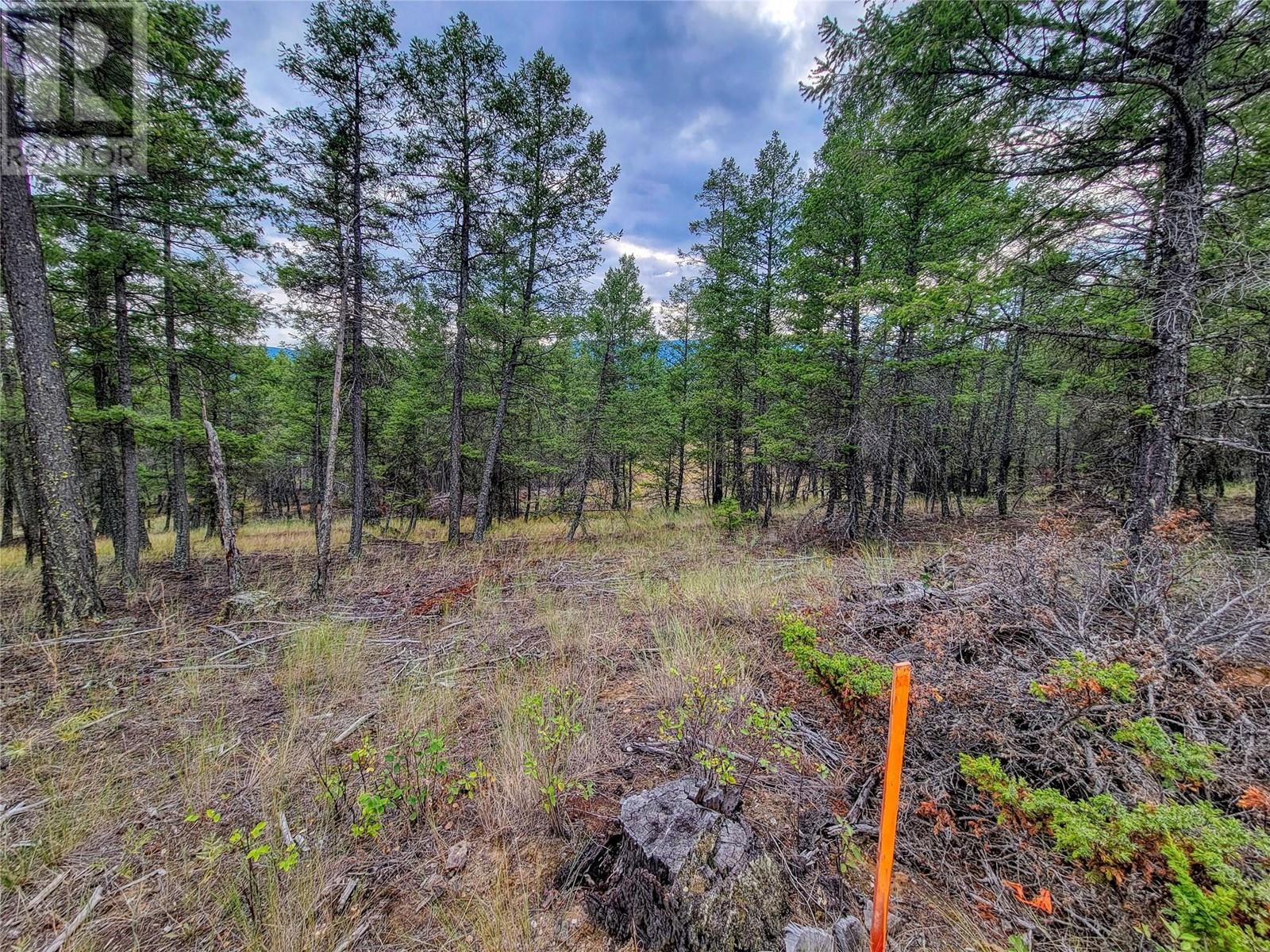 Lot 29 Elkhorn Boulevard, Windermere, British Columbia  V0B 2L2 - Photo 14 - 10349234