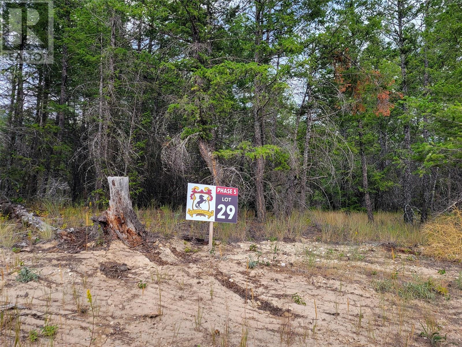 Lot 29 Elkhorn Boulevard, Windermere, British Columbia  V0B 2L2 - Photo 2 - 10349234