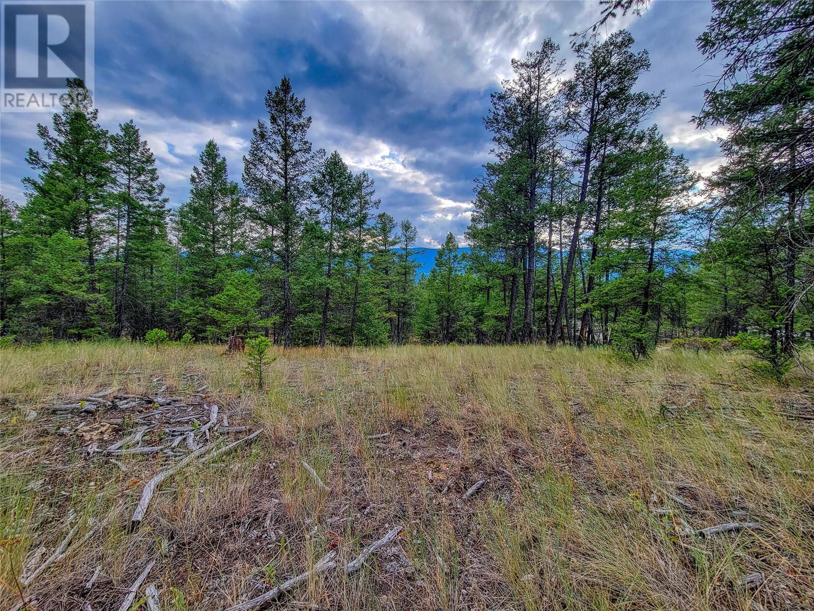 Lot 29 Elkhorn Boulevard, Windermere, British Columbia  V0B 2L2 - Photo 4 - 10349234