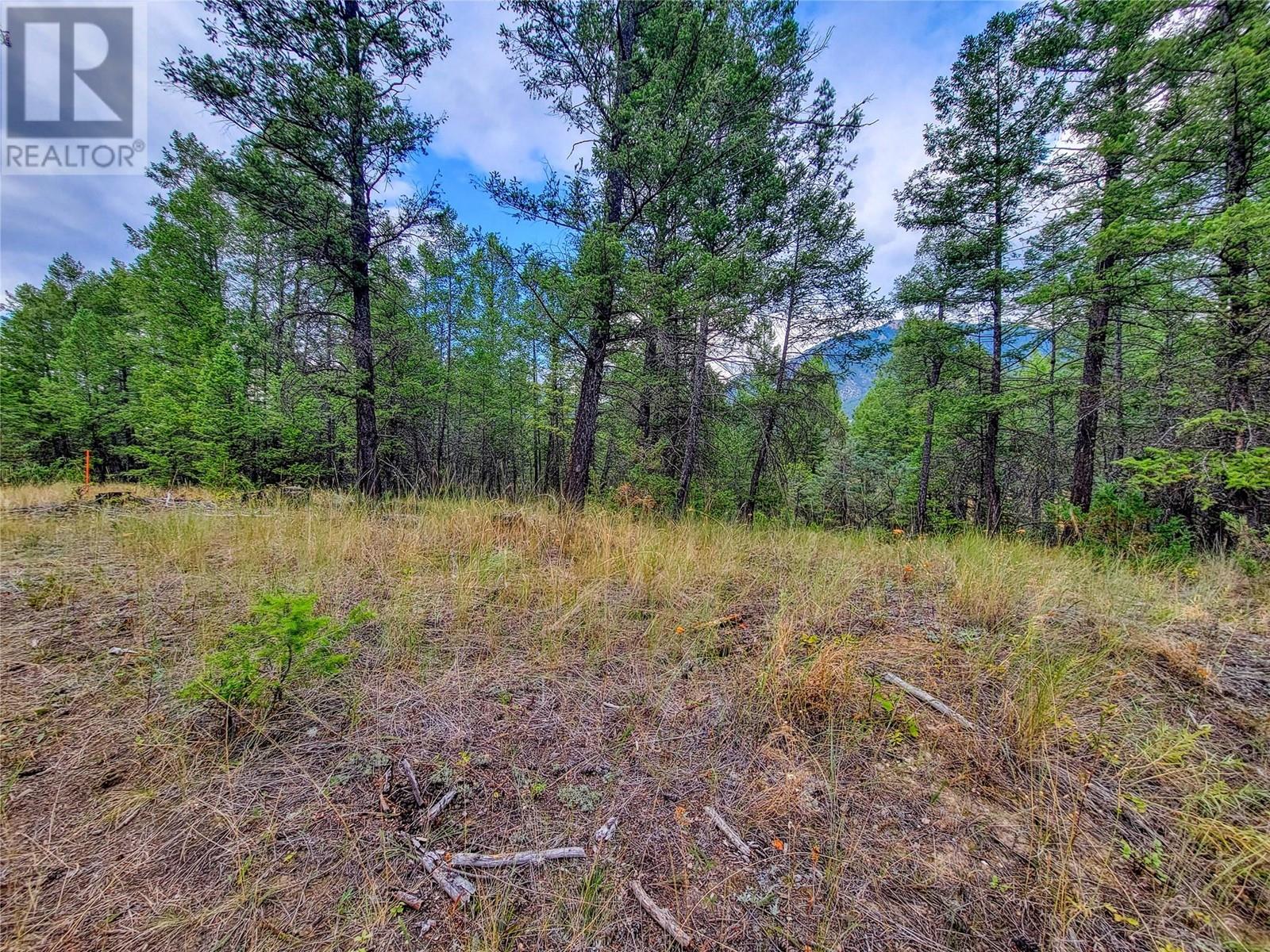 Lot 29 Elkhorn Boulevard, Windermere, British Columbia  V0B 2L2 - Photo 8 - 10349234