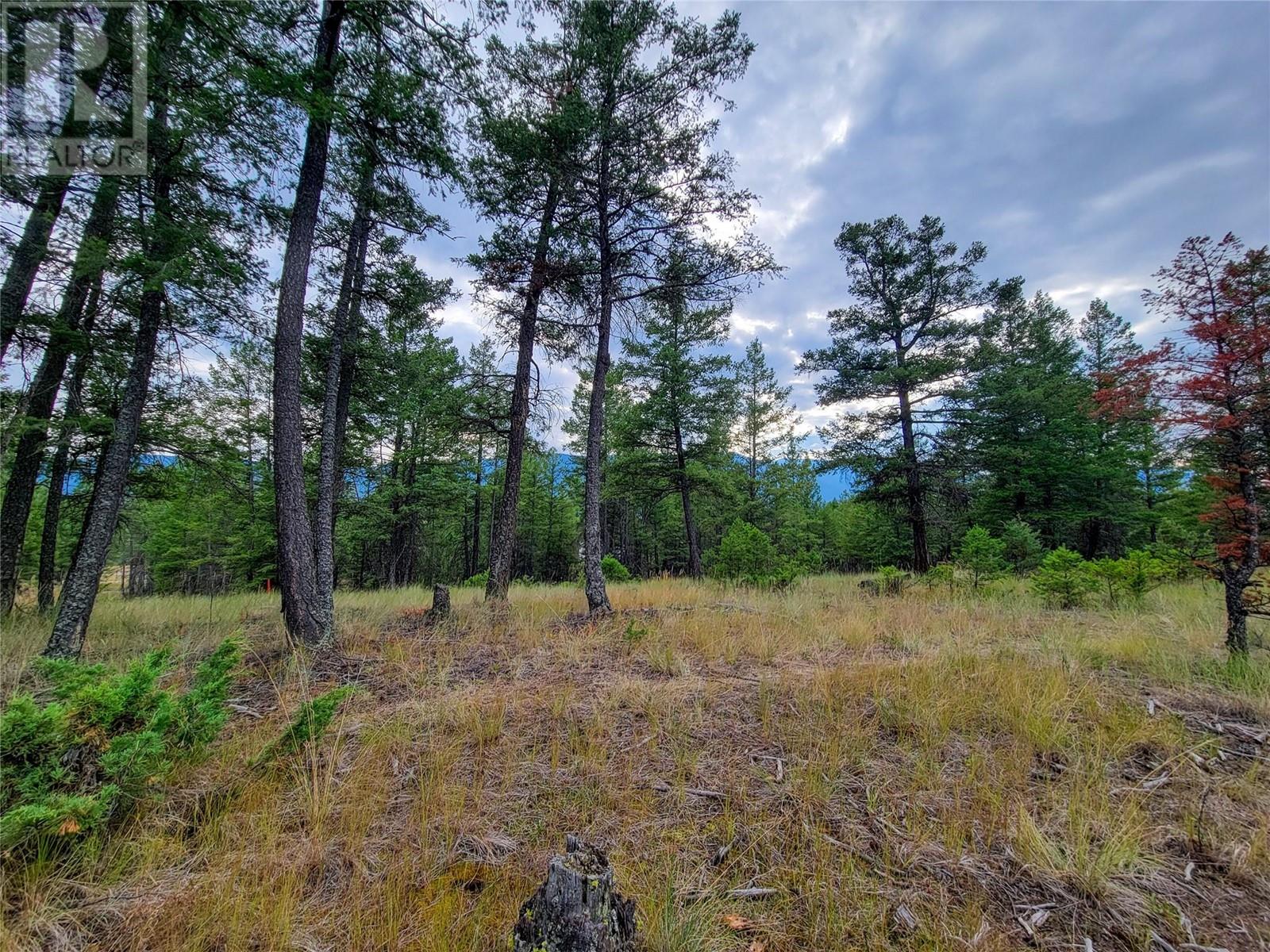 Lot 29 Elkhorn Boulevard, Windermere, British Columbia  V0B 2L2 - Photo 9 - 10349234