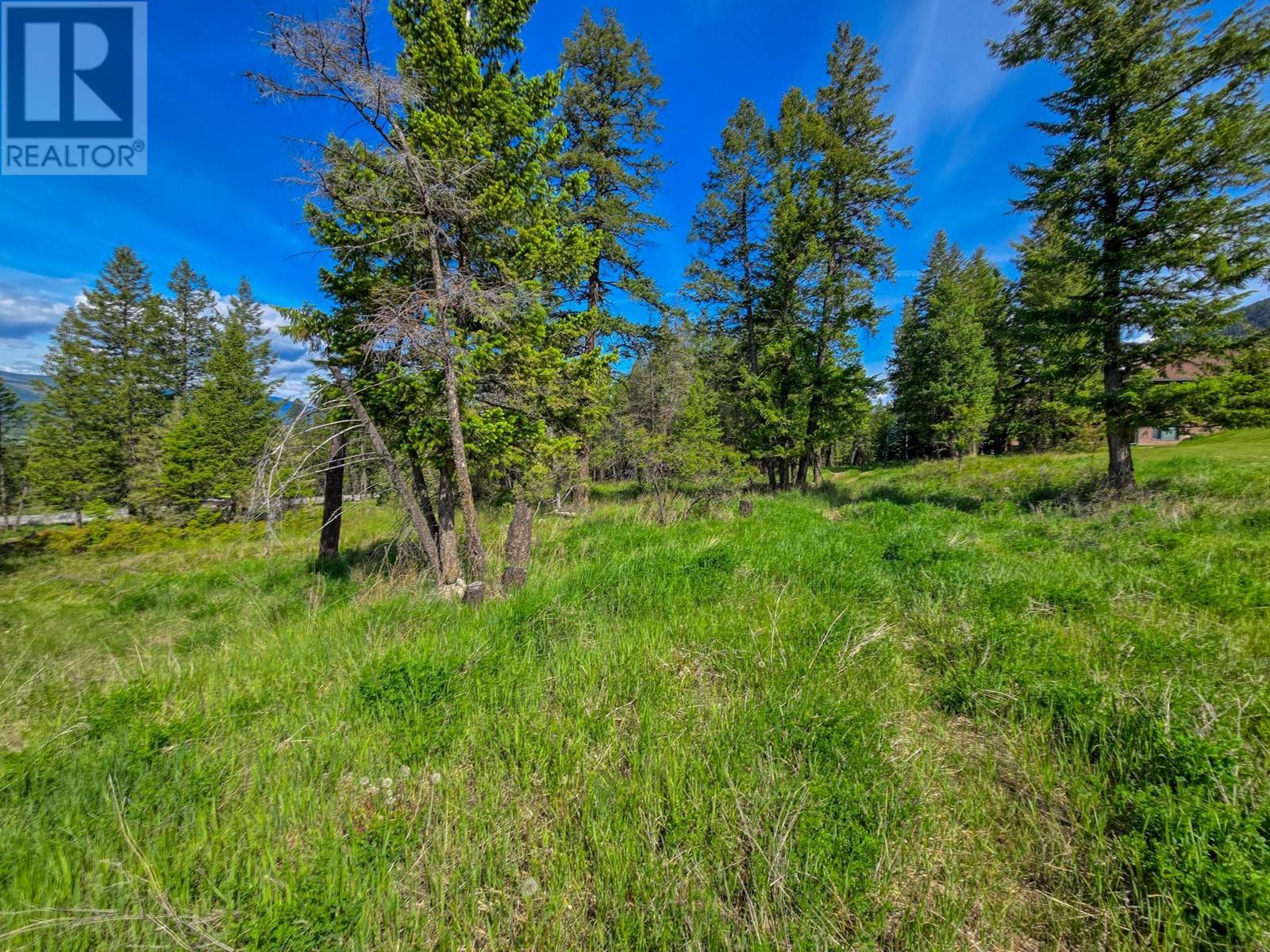 Lot 4 93/95 Highway, Fairmont Hot Springs, British Columbia  V0B 1L1 - Photo 11 - 10348998