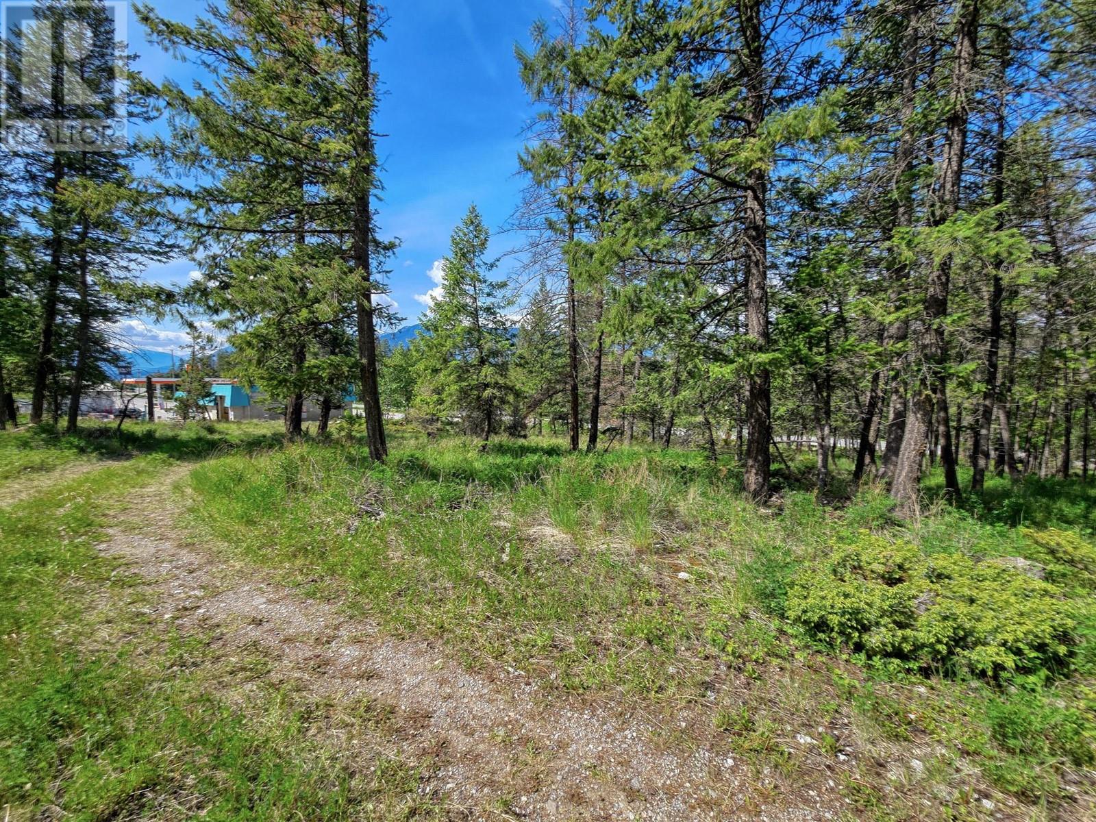 Lot 4 93/95 Highway, Fairmont Hot Springs, British Columbia  V0B 1L1 - Photo 12 - 10348998